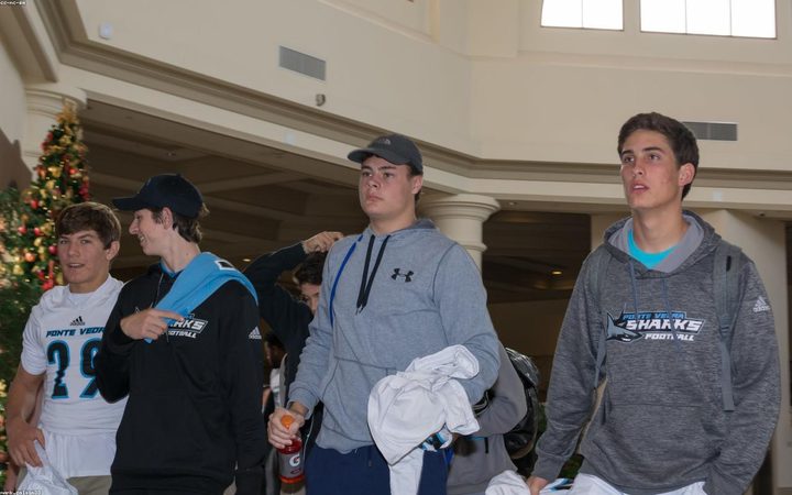 十三e彩票 · 训练